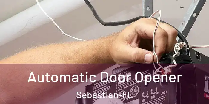 Automatic Door Opener Sebastian-FL