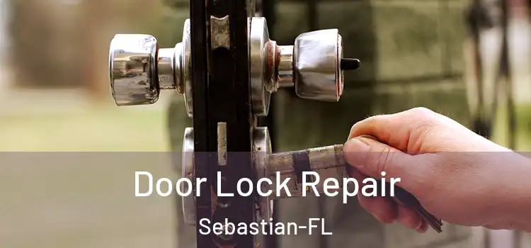 Door Lock Repair Sebastian-FL