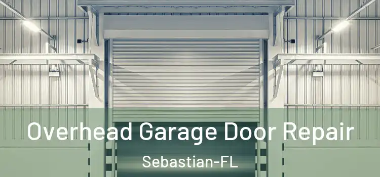 Overhead Garage Door Repair Sebastian-FL
