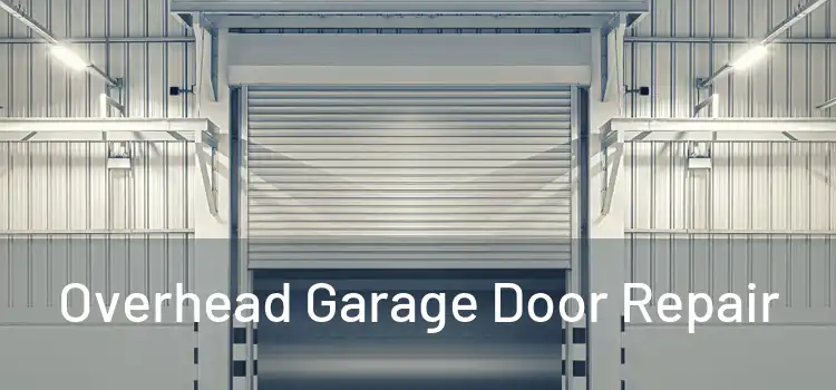  Overhead Garage Door Repair 
